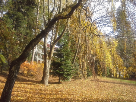 Procházka podzimním parkem